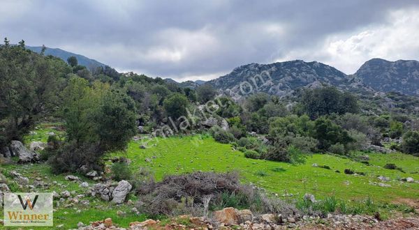 Winner- Selimiye'de Yola Sıfır+ Ulaşımı Kolay+ Avantajlı Arazi!