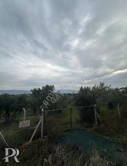 P&r Gayrimenkul'den Yalı Mah. Satılık İmara Sınır Zeytinlik