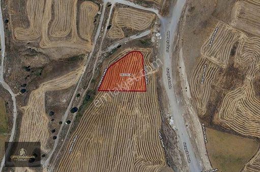 Çiftçioğullarından▃kavacık Mevki 50 Mt. Yola Cephe Kök Tapu Arsa