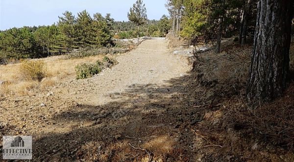 Konyaaltı Geyikbayırında 336 M² Satılık Arsa