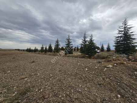 Sevgim'den Kütahya Çevre Yoluna Cepheli Satılık 4 Dönüm Tarla