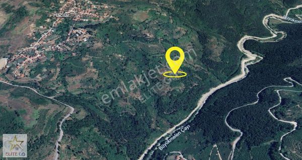 890 M2 Düzce Yığılca Hacılarda Uygun Fiyatlı Fındık Bahçesi