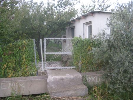 Menemen Buruncuk Karabucak Mevki Satılık Müstakil Tarla