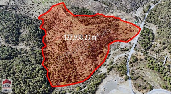 Era Port Güvencesiyle Balıkesir Ayvalık Satılık 128 Dönüm Tarla