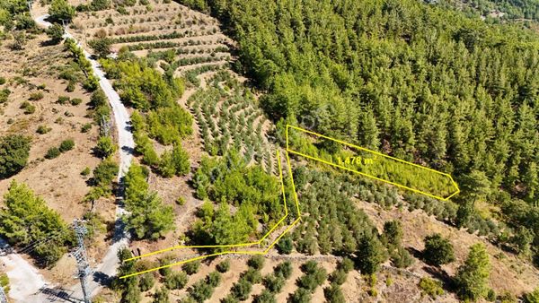 Satılık 1.478 M² Arazi - Alanya Tırılar Mah. Sapadere Kanyona 5 Km