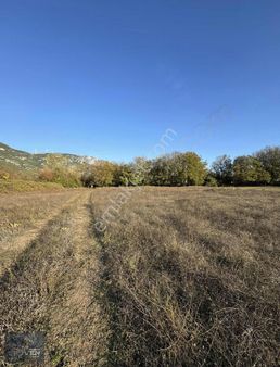 Muğla Menteşe Düğerek Secenin En Güzel Yolunda 3.714 M2 Satılık