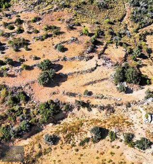 Muğla Menteşe Dağpınarda Deniz Manzaralı 2.262 M² Tarla