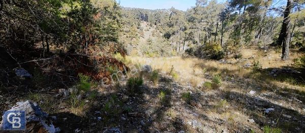 Kıran Mah Yol Cepheli Satılık Yatırımlık Tarla