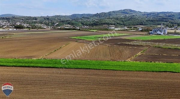 Serdivanda Satılık Tarla 5704m² Re/max Mavi Tuncay Şen'den