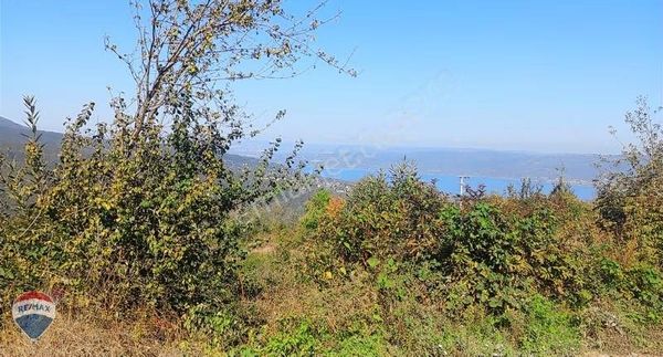 Sapanca Gölü Manzaralı İmarlı Arsa Remax Mavi Tuncay Şen Den
