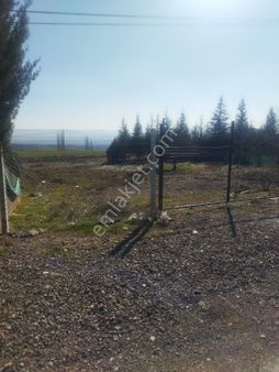 Yetimoğlundan Satilik Kupon Arsa