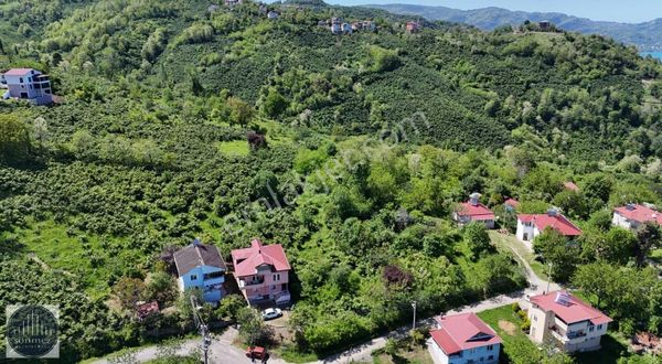 Sönmez'den Çerlide Deniz Manzaralı Satılık Fırsat Arsalar