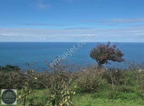 Sönmezden Perşembe Çaytepede Satılık Arsa