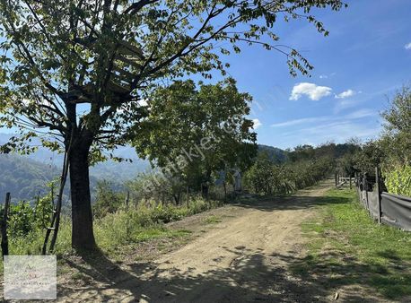 Ata Gayrimenkul | Kavakbıçkı Köyünde 3066m2 Satılık