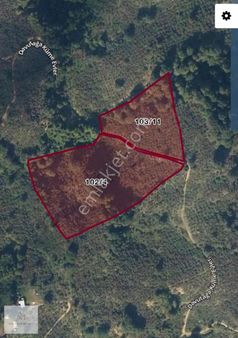 Ata Gayrimenkul | Davutağa Köyü 28 Dönüm Satılık Fındık Bahçesi