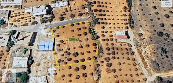 Ezel Emlak Tan Yanlızbağ Da 2250 M2 Satılık Arazi