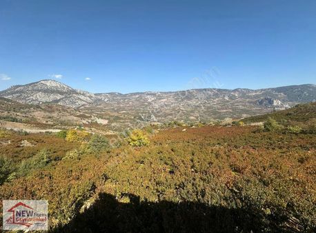 New Form Dan Mezitli Tepeköyde Satılık Nektarin Bahçesi Ve Ev