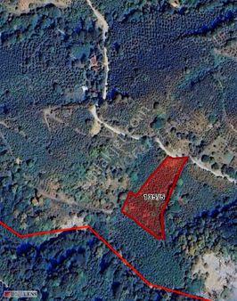 Sakarya Hendekte %5 İmarlı 5.620 M2 Bahçe