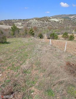 Köye 500 Metre Fırsat Arazi!!!