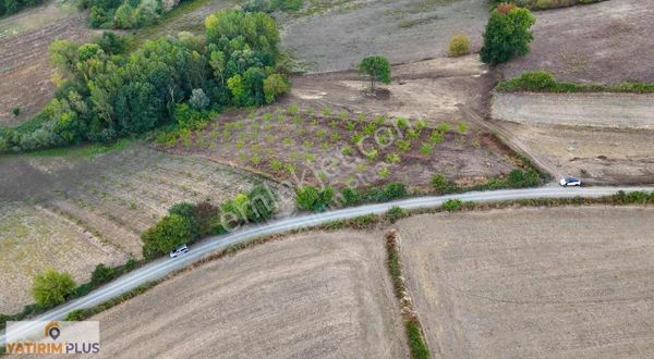 Yatırımplus'tan Alaçam Taşkeli'te 2443 M2 Ev Yapılabilir Tarla