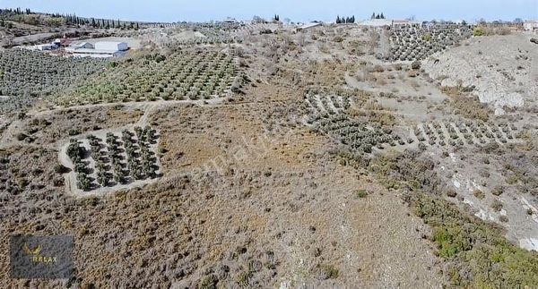 Şirinçavuş Mahallesinde Köye Yakın Konumda Satılık Bahçe
