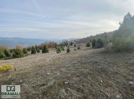 Ges Projesine Yakın Yola Cephe 7 Dönüm Tarla