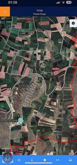 Balıkesir Büyükbostancı Da Satılık Tarla