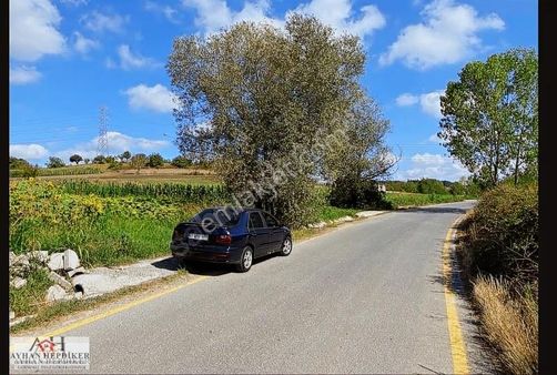 Adapazarı Salmanlıda Asvalt Yola Cepheli 1.377m2 Tarla