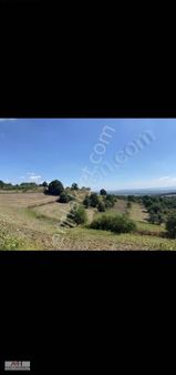 Adapazarı Kayrancıkda Yola Bir Parsel 2018 M2 Şekili Tarla