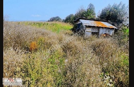 Söğütlü De Yol Cepheli Yatırımlık Veya Hobi Bahçesi 770 M2tarla