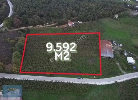 Hendek Hallaç Köyünde Parsellenebilir Satılık Arsa