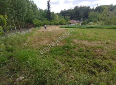 Mercan'dan Seydiler'de Tek Tapu 530m2 Köyiçi İmarlı Arsa