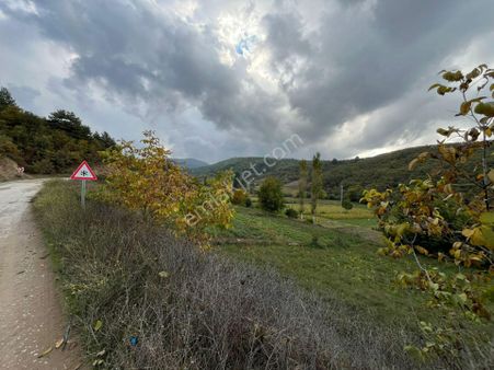 İzmir Ödemiş Çamyayla'da Satılık Yola Cepheli Tarla