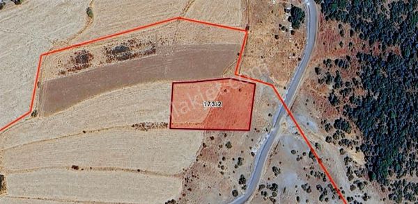 Elazığ Palu İlçesinde Kayaönü Mahallesinde Satılık Sulu Tarla