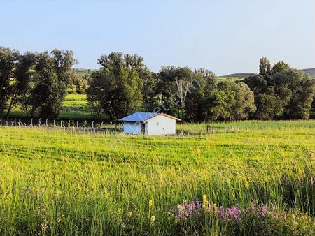 Şehrin Gürültüsünden Uzak Doğayla İç İçe Huzur Dolu Yaşam