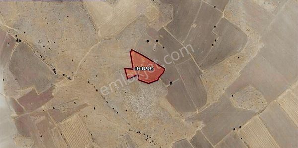 Emmilerde 5.269 M2 Tek Tapu Tarla