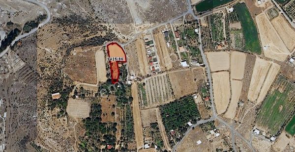 Gesi Güzelköyde 978 M2 Hisse Rızai Taksimi Yapılmış Yeri Belli