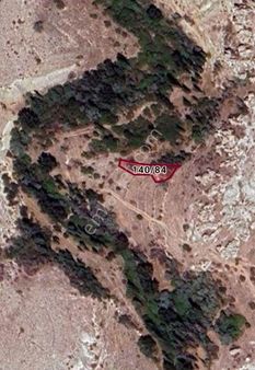 Nevşehir Ürgüp Sofular Tek Tapu Uygun Fiyata Bağ