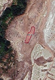 Nevşehir Ürgüp Sofular Köyü Satılık Tek Tapu Bağ