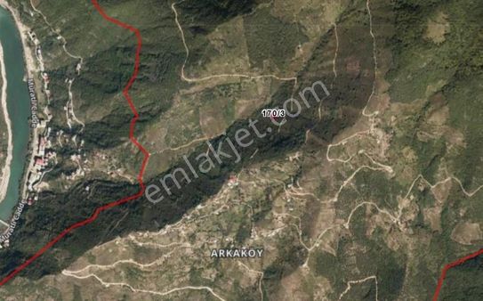 Artvin Borçka 746m2 Muhteşem Doğa İçinde Tek Tapu Fındık Bahçesi