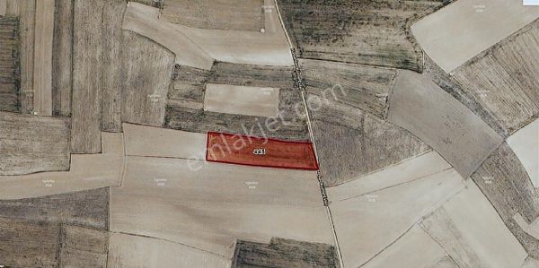 Hacıbektaş Hasanlar 13 Dönüm Turizm Alanı İçinde Satılık Tarla