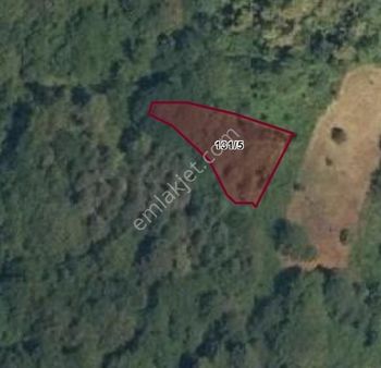 Kastamonu Çatalzeytin Çağlar Köyü 118m2 Tarla