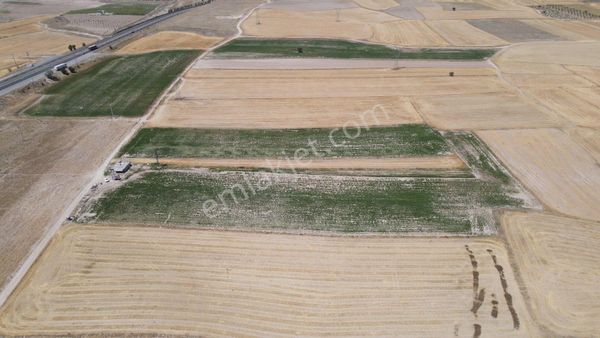 Kayseri Nevşehir Yolunda 100 Kw Elk Mevcut Olan Tarla