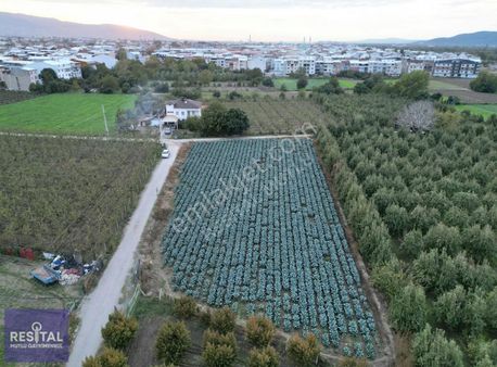 Gürsu İstiklal İmar Dibi Asfalt Yola Cephe Satılık 3037m2 Arazi