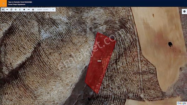 Başkan Emlaktan Satılık Söğüt Oluklu Köyünde 2.678 M2 Tarla.