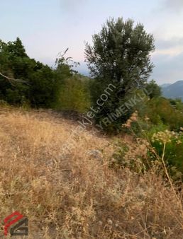 Serik Bozdoğan Satılık Arsa