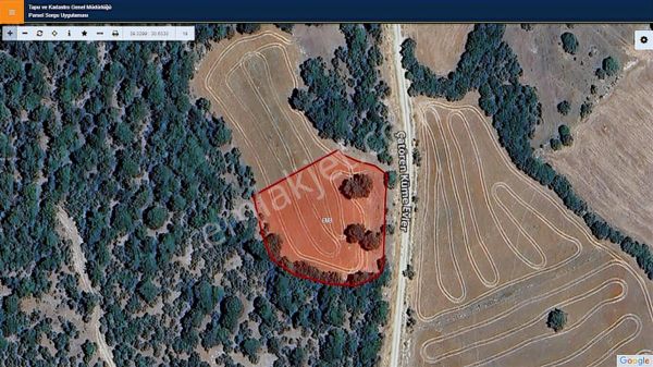 Başkan Emlaktan Satılık Seyitgazi Çatören 3.154 M2 Tarla