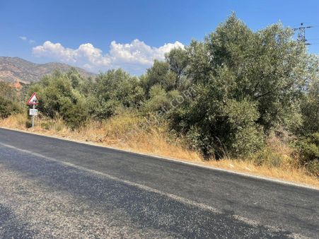 Nazilli Kardeşköy Mahallesi Satılık Tarla