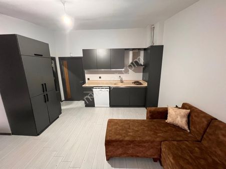 Tokat Merkez Yeniyutta 1+1 Kiralık