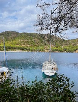 Dalaman Şerefler'de Kille Koyu'na 5 Dk Satılık Tek Tapu Tarla